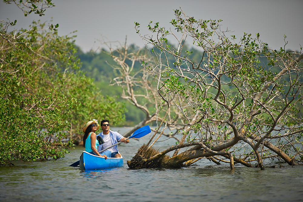 Speed Boat Village Canoe Ride